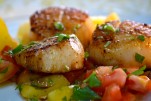 Scallops with Heirloom Tomato Salad